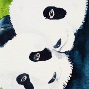 Tendresse de Panda*